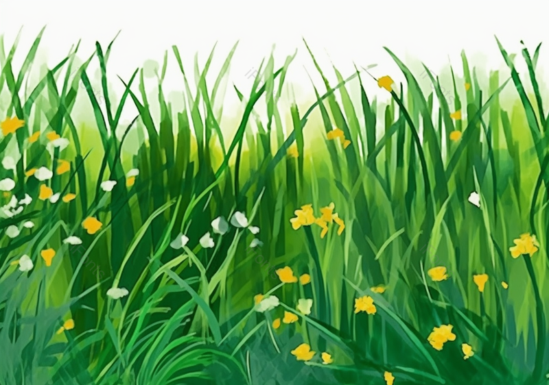 唯美夏天绿色草地植物背景元素插画手绘,插画/手绘图,插画/手绘图库,插画/手绘图下载,插画/手绘